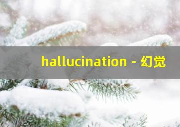 hallucination - 幻觉